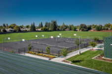 Hardcourts