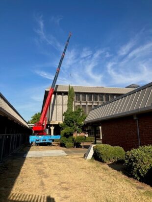 7-22-23 Crane photo