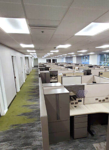 Cubicles portrait